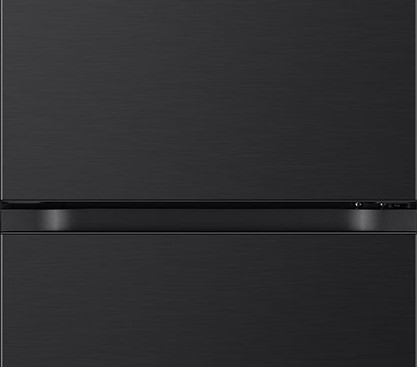 LG GBV3100AEP detail