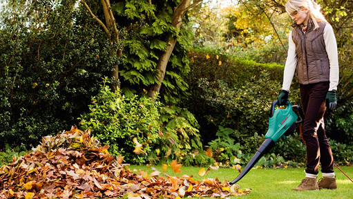 6 tips to get your garden ready for winter