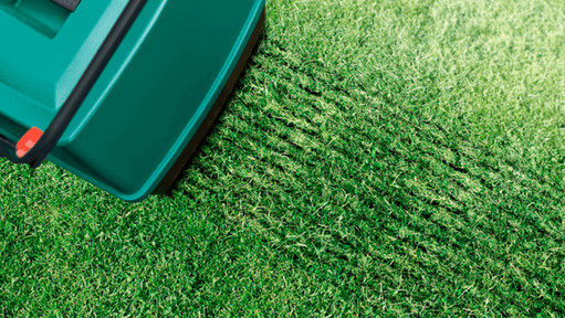 Advice on grass maintenance