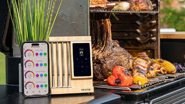 Meat thermometers