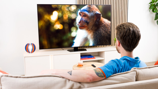Which brands have micro RGB televisions
