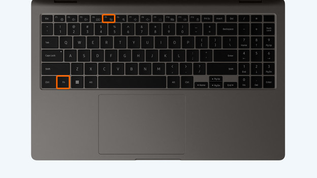 The keyboard of a Windows laptop with fn and touchpad icon circled.