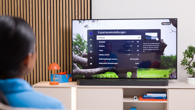 Bildeinstellungen Fernseher