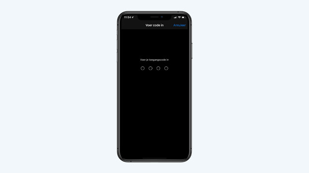 Gib deinen Code vom iPhone ein.
