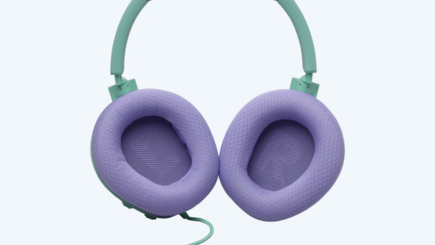 JBL Quantum 100M2: no, stereo