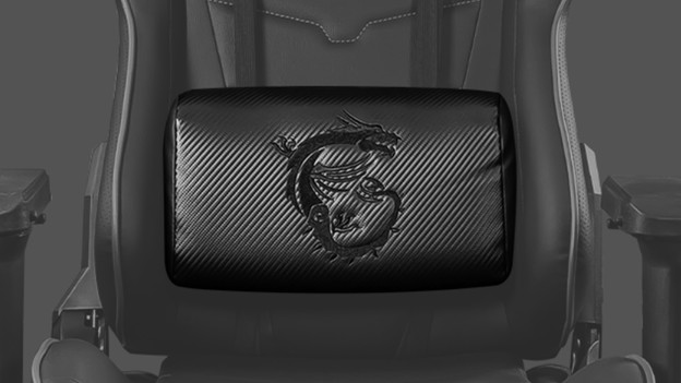 Nacken- und Lendenwirbelkissen