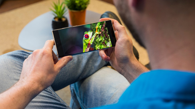 Wie funktioniert ein Smartphone-Prozessor?