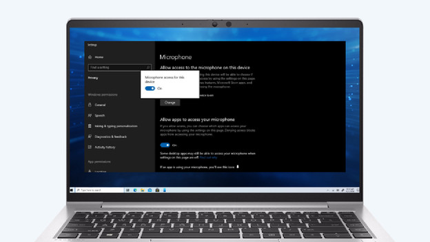 Step 2: check your microphone settings