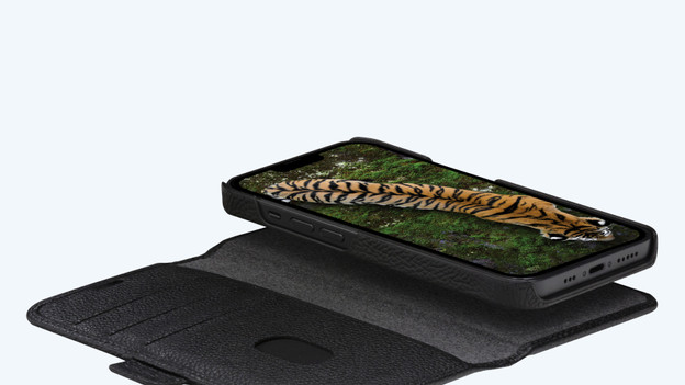 Do you want a book case, back cover, or 2-in-1 case?