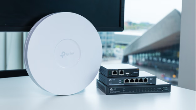 Business-Router und TP Link Access Point