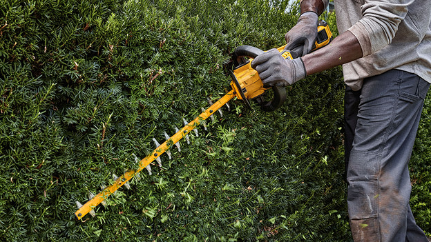 DeWalt Heckenschere