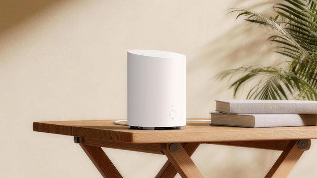 Home Hub 1 Lite: bis zu 8 Geräte