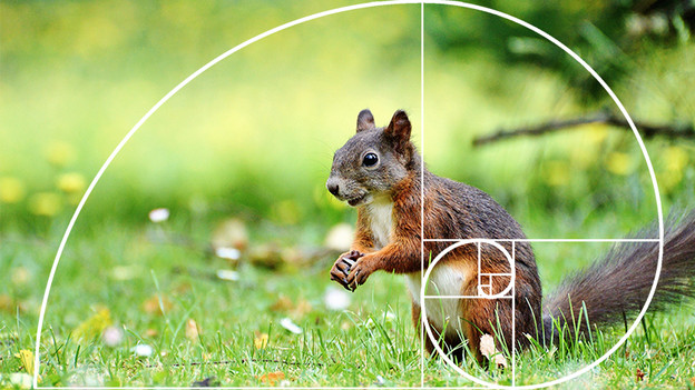 Platzierung deines Motivs