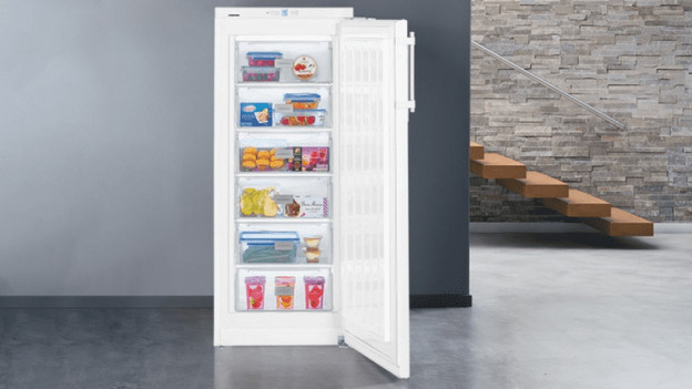 Upright freezer shed