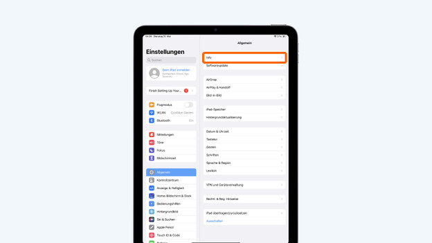 Einstellungen beim iPad: Info