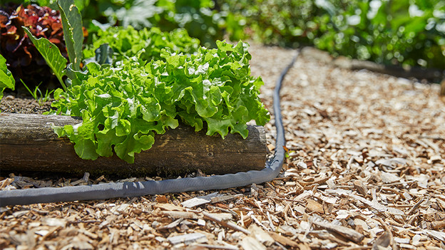 Flexible Gartenschläuche: für Gärten mit Hindernissen