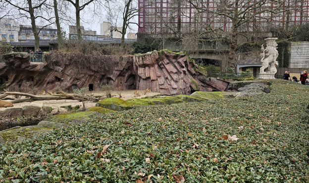 S23 Ultra Standardobjektiv