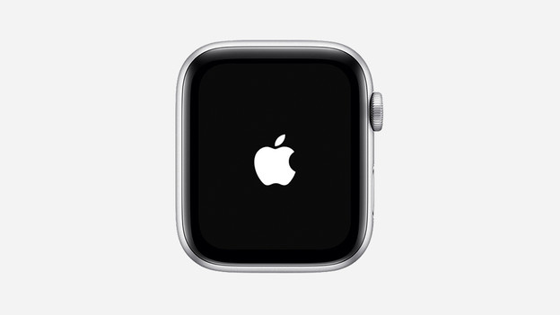 Fehlerbehebung bei Apple Watch