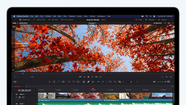 MacBook Air (2020): Kamera im Display-Rand