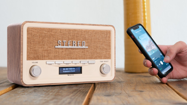 Für welches Radio sollte ich mich entscheiden?