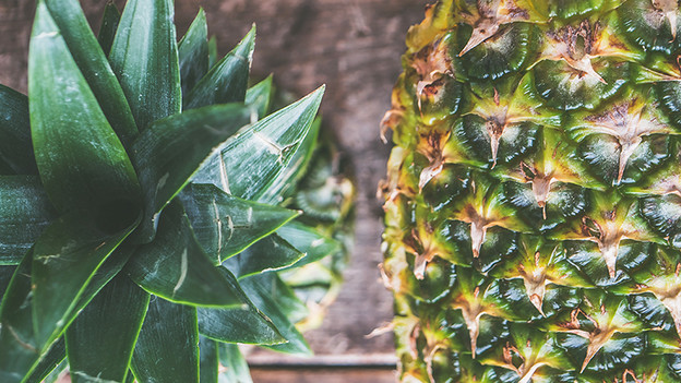 Wann wählst du ein Makroobjektiv