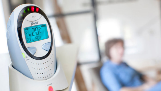 DBX-88: interference-free DECT connection