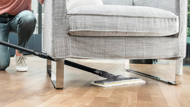 Choose steam cleaner