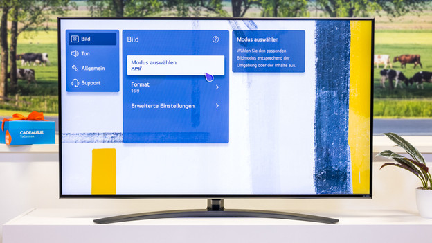 Einstellungen des Bildmodus bei LG