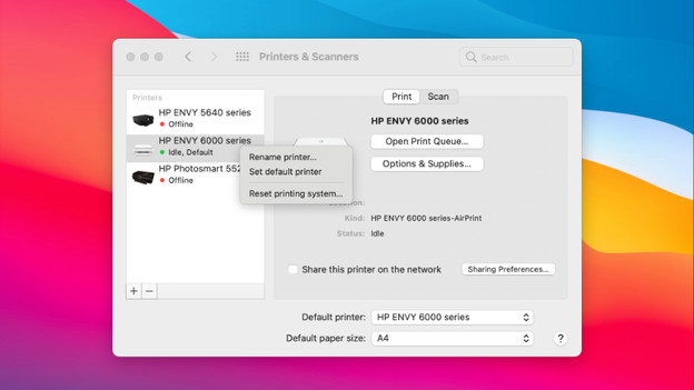 Reset the printing system
