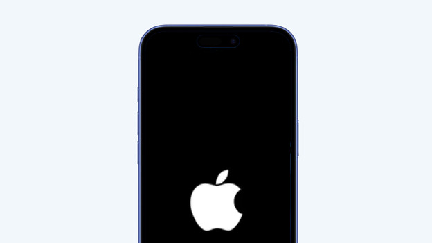 Reset iPhone