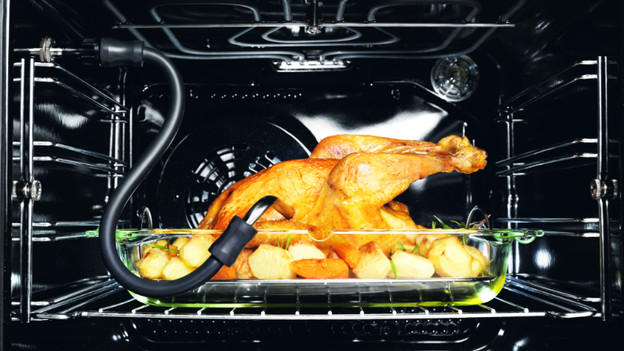 Thermometer im Backofen