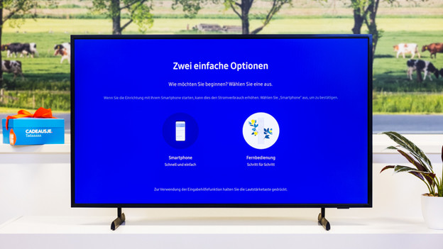 Samsung-Fernseher Anschlüsse überprüfen