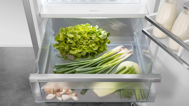 BioFresh: store groceries for longer