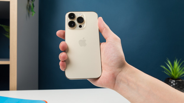 Die matt glänzende Rückseite