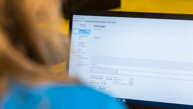 Expert check how much RAM appears in the Task Manager