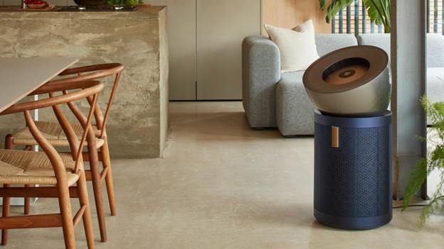 Remove formaldehyde from the air