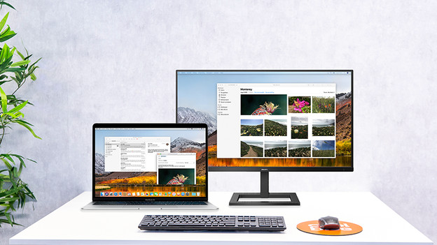 Deinen Monitor anschließen