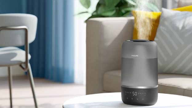 Vernebler: schnelle und leise Luftbefeuchtung