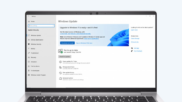 Lade das Windows 11 Update herunter und installiere es.