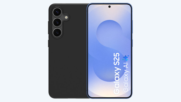 Samsung Galaxy S25 Hüllen