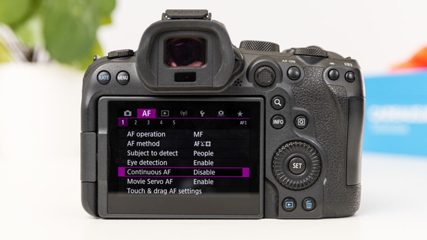 Canon EOS R6: photograph with 20 fps
