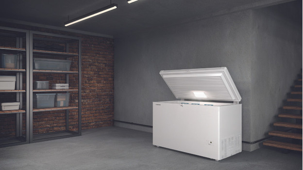 Gefrierschrank Keller