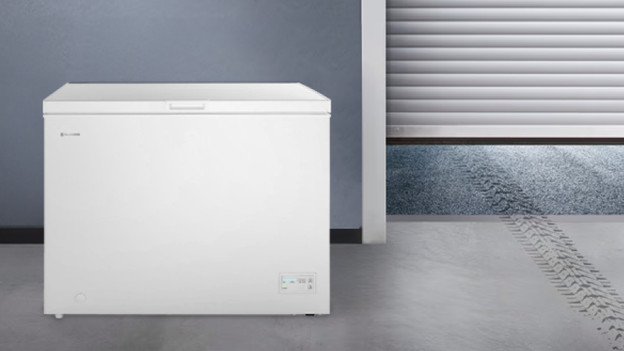 Wisberg Gefrierschrank im Schuppen