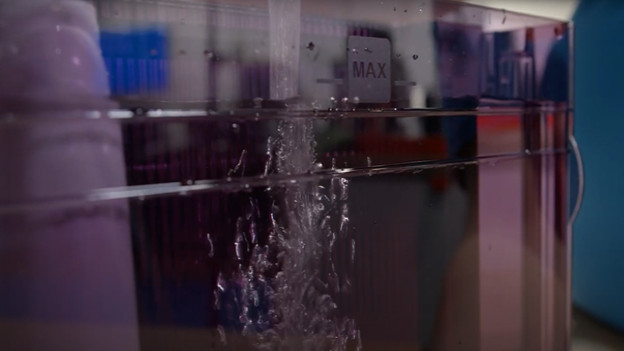 Start the first rinse