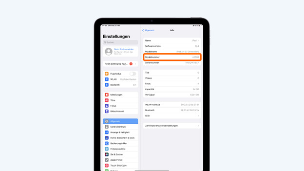 Einstellungen: IPad-Modell