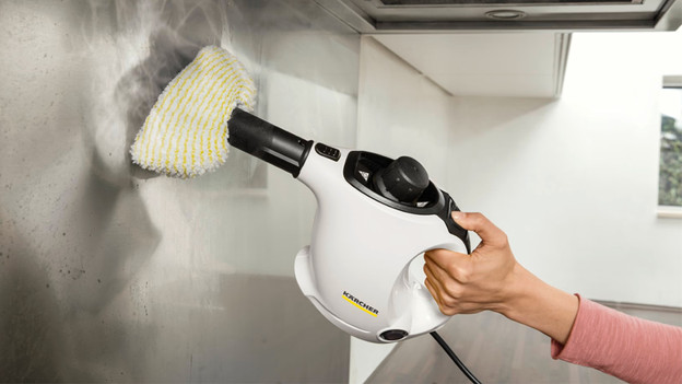Handheld steam cleaner