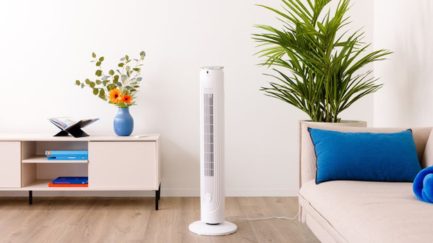 Fan: lightweight and little maintenance