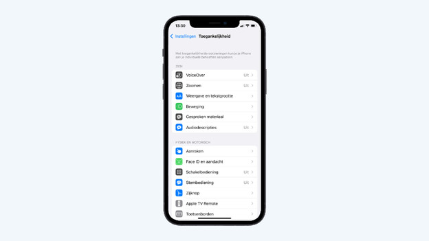Choose 'Display & Text Size'