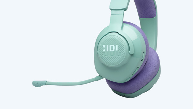 JBL Quantum 360 Wireless: 22 hours