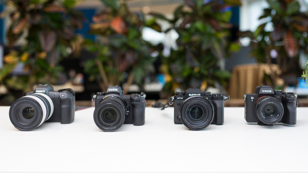 Different types of mirrorless cameras